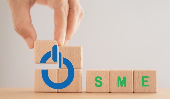 Demystifying MSME or SME Loan Options (Variants, Tenure, Rates, and Use Cases)